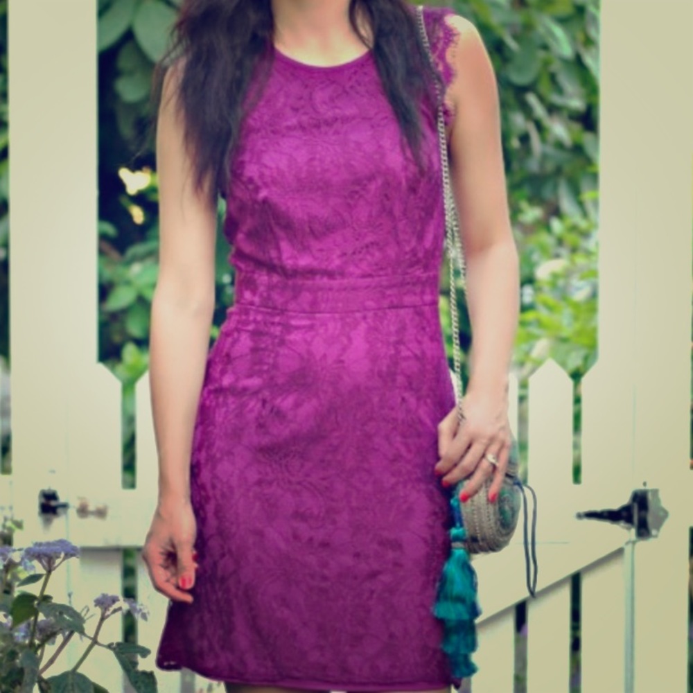 Brixton Ivy Medina Fuchsia Lace Overlay Dress